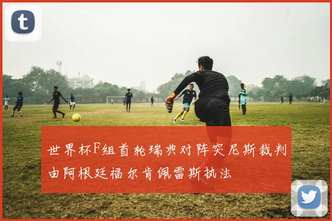 世界杯F组首轮瑞典对阵突尼斯裁判由阿根廷福尔肯佩雷斯执法